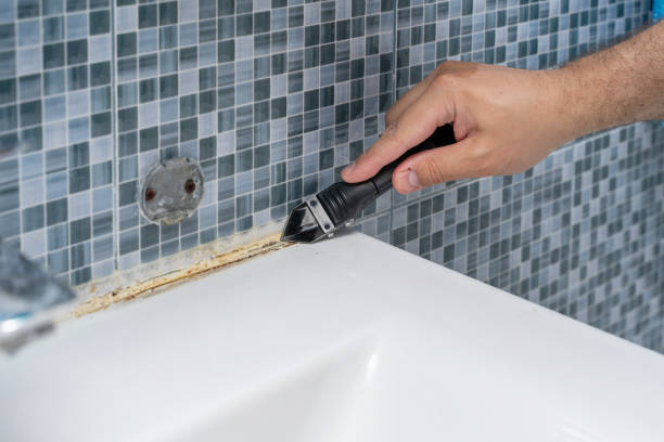 Best Affordable Mold Removal  in Northfield, OH